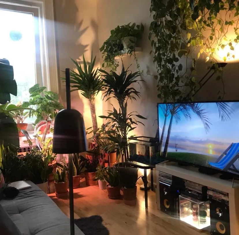 Urban Jungle Oasis In Queens! contacts