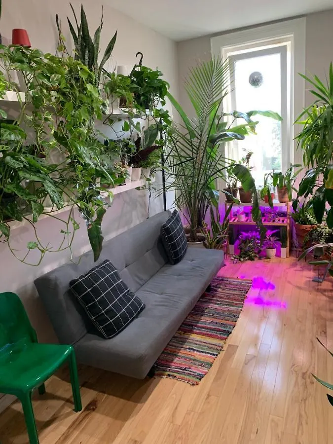 Homestay Urban Jungle Oasis In Queens! Apartment New York