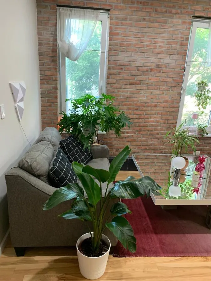 Homestay Urban Jungle Oasis In Queens! Apartment New York United States