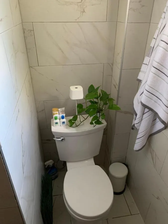 Urban Jungle Oasis In Queens! Apartment New York Homestay