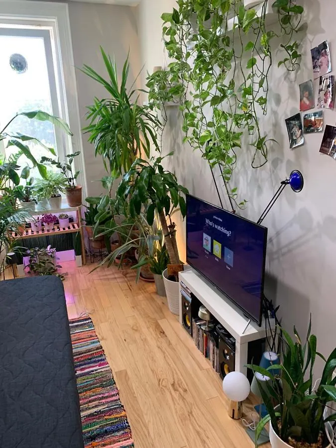 Urban Jungle Oasis In Queens! Apartment New York Homestay